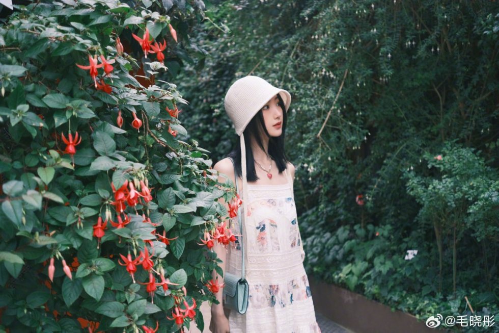 包养阶层跃迁CEO