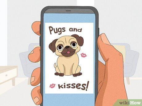 Pick out the purr-fect pun for your animal-loving sweetheart.